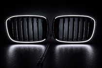 BMW X3 G01 2018– Niergrilles 1 Bar LED (2018-2021, glanzend zwart) foto 5