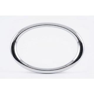 Achterembleem zonder glas V5 (17 cm × 12,5 cm) foto 1