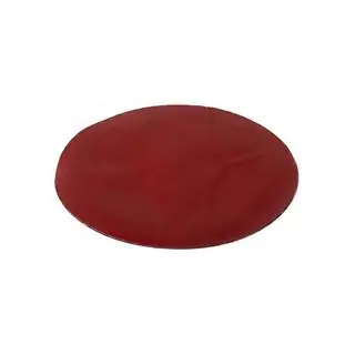 Achterembleem zonder glas V5 (17 cm × 12,5 cm) foto 2