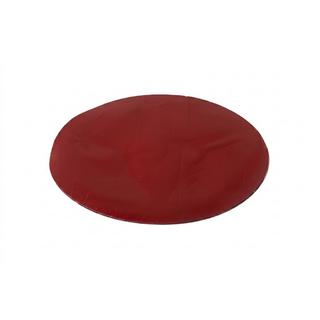 Voorembleem zonder glas V4 (15,7 cm × 11 cm) foto 2