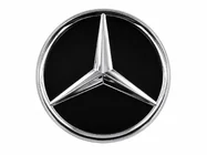 Mercedes G-Klasse W463 2018–2024 Frontembleem onder glas (voor facelift) foto 1