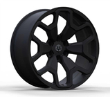 Dodge RAM (DS/DJ/D2) 2009–2024 Gesmede OEM velgen R22 (4 stuks) foto 6