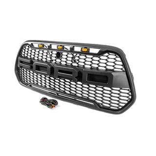 Radiateurgrille 2013-2018 (OffRoad) Ford Custom 2013–2022 foto 2