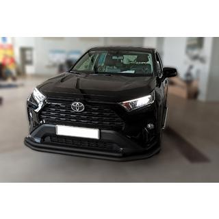 Frontbescherming F3-10 Black (RVS) foto 3