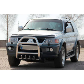 Bullbar QT007 (RVS) foto 3
