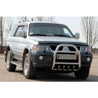 Bullbar QT007 (RVS) foto 2