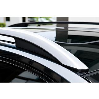 OEM dakrails grijs (aluminium) foto 1