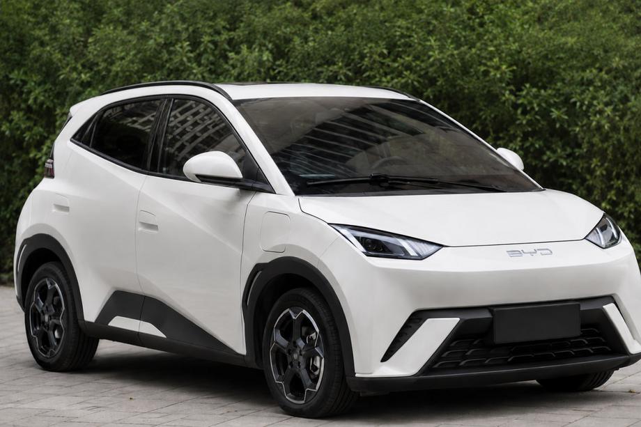 BYD Dolphin 2025– OEM dakrails zwart (ABS-kunststof, montage met lijm) Image