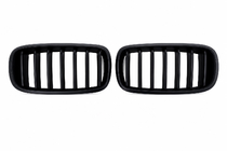 BMW X5 F15 2013–2018 Nierengrille 1-Bar (mat zwart) foto 1