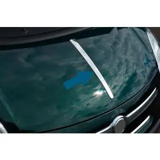 RVS sierstrip voor motorkap foto 1