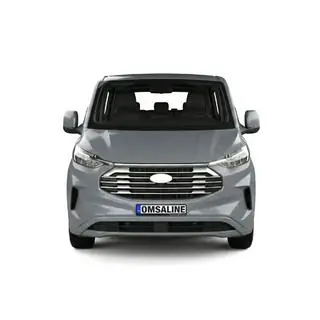 Sierlijsten voor grille (9-delig, RVS) foto 1