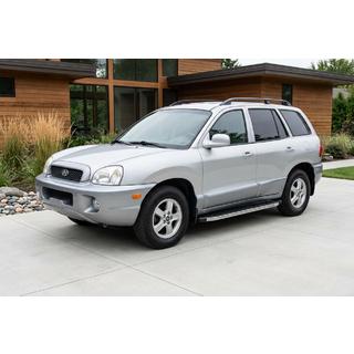 BlackLine side steps (2 stuks, aluminium) Hyundai Santa Fe 1 2000–2006 foto 1