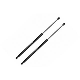 Gasveren voor motorkap (2 stuks)