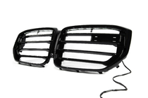 BMW X5 G05 2019–2026 Niergrillen X5M F95 Design LED (2023+) foto 2
