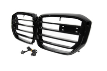 BMW X5 G05 2019–2026 Niergrillen X5M F95 Design LED (2023+) foto 7