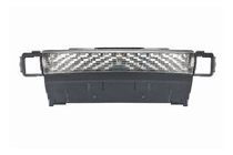 Range Rover III L322 2002–2012 Onderste grille voor voorbumper Autobiography (2010-2012) foto 1