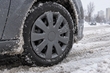 Wieldoppen in de winter: vliegen ze in de sneeuw en hoe zet je ze vast? foto 2