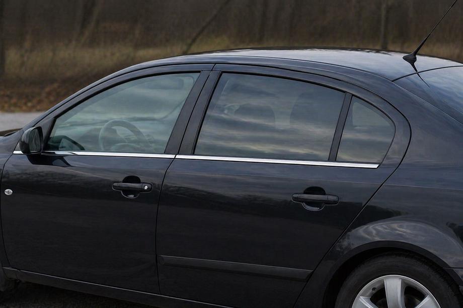Mazda 3 2003–2009 Raamomlijsting (4-delig, RVS) Hatchback Image
