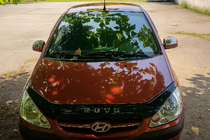 Hyundai Getz 2002– Afdekkappen voor bovenzijde buitenspiegel (set 2 stuks, kunststof) foto 3