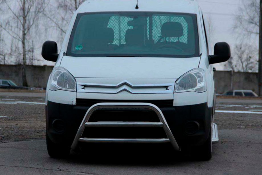 Citroen Berlingo 2008–2018 Bullbar WT022 (RVS) Image