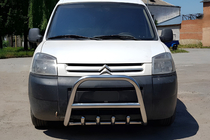 Citroen Berlingo 1996–2008 RVS bullbar WT003 foto 1