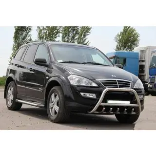 Bullbar WT003 (RVS)