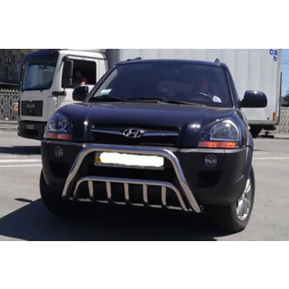 Bullbar WT002 (RVS) foto 2