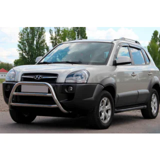 Bullbar WT022 (RVS) foto 1