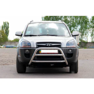 Bullbar WT022 (RVS) foto 2