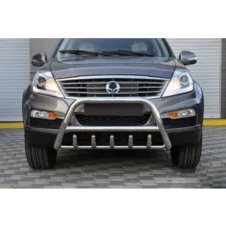 Bullbar WT003 (RVS) foto 3