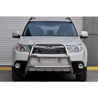 Bullbar WT018 (RVS)