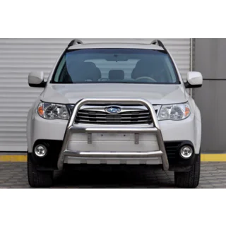 Bullbar WT018 (RVS)