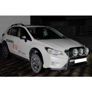 Bullbar WT018 (RVS) foto 2