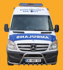 Mercedes Sprinter W906 2006–2018 Bullbar WT003-Plus (RVS) foto 7