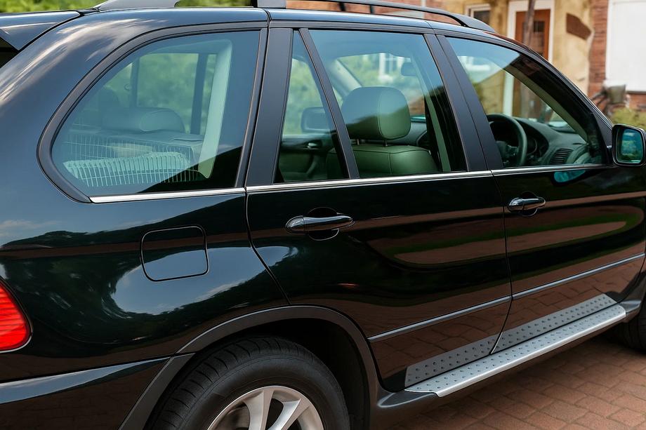 BMW X5 E53 1999–2006 Onderste RVS sierlijsten (6 st.) Image