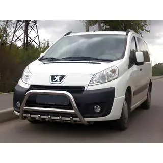 RVS bullbar WT003 foto 1