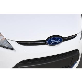 Grillafdekking (2-delig, RVS) Ford Fiesta 2008–2017 foto 1