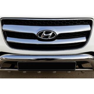 RVS grille sierlijst (2006-2010, 2-delig) Hyundai Santa Fe 2 2006–2012 foto 1