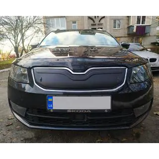 Winterafdekking voor grille (2013-2017)