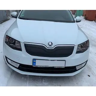 Winterafdekking voor grille (2013-2017) foto 2