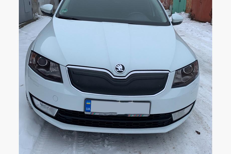 Skoda Octavia III A7 2013–2019 Winterafdekking voor grille (2013-2017) Foto 2