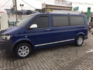 Volkswagen T5 Caravelle 2004–2010 Deurstrips (RVS, chroom) foto 4