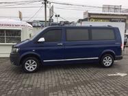 Volkswagen T5 2010–2015 Deurstrips (RVS, chroom) foto 4