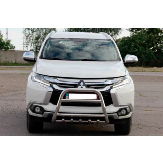 Bullbar WT008 (RVS)