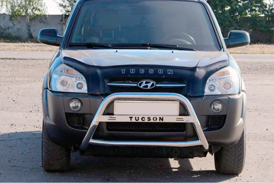 Hyundai Tucson JM 2004– Bullbar WT025 (RVS) Foto 1