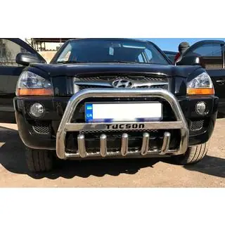 Bullbar WT004 (RVS)