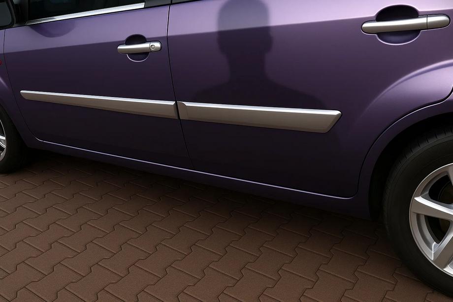 Ford Fiesta 2002–2008 Deurstrip (set van 4, RVS) Image