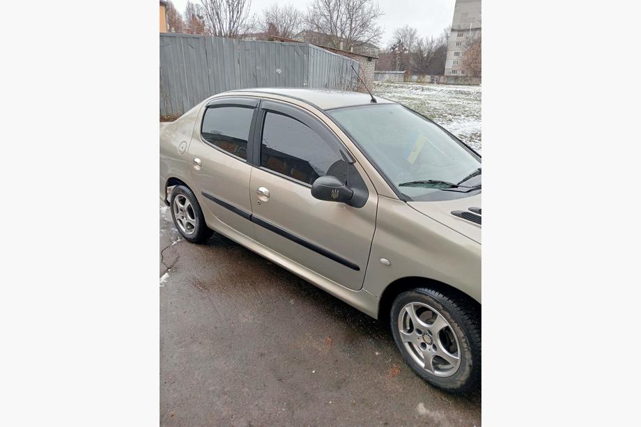 Peugeot 206 1998–2024 RVS deurgreepkappen 2 stuks, OmsaLine - Italiaans roestvrij staal Foto 2