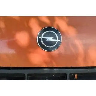 Embleem Turkije foto 1