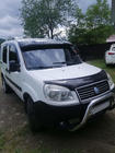 Fiat Doblo I 2005–2010 Voorruitvizier (zwart hoogglans, 5 mm) foto 9